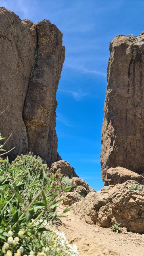 Puerto Rico Top Teide And Amadores View Ngoại thất bức ảnh