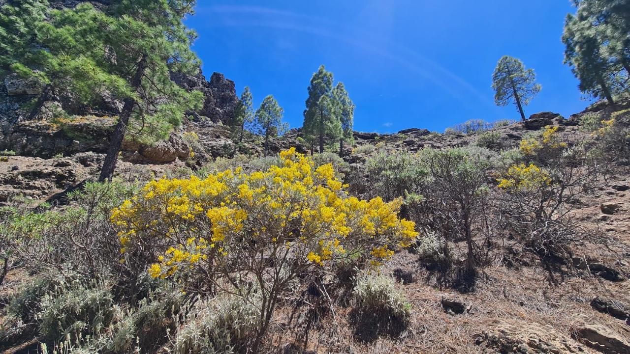 Puerto Rico Top Teide And Amadores View Ngoại thất bức ảnh