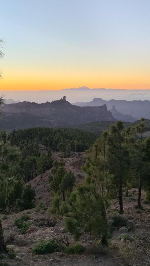 Puerto Rico Top Teide And Amadores View Ngoại thất bức ảnh